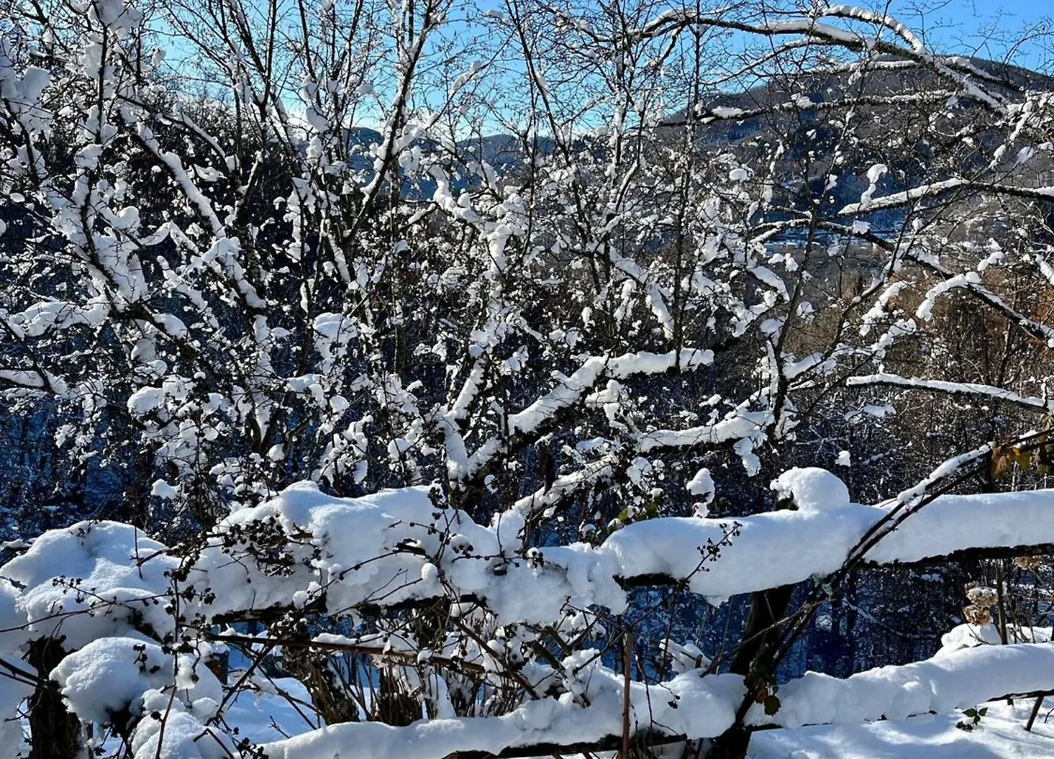 Sasso Al Melo - Apartments Cutigliano